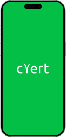 slide 11